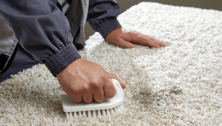 Professional Rug Cleaning Sorrento